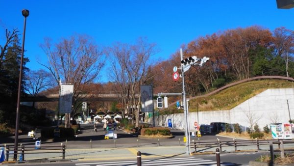 娘の推しキャラ